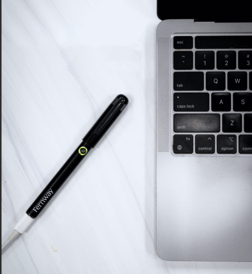 Fernway Stylus