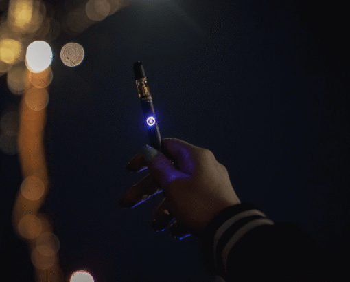 Fernway Stylus
