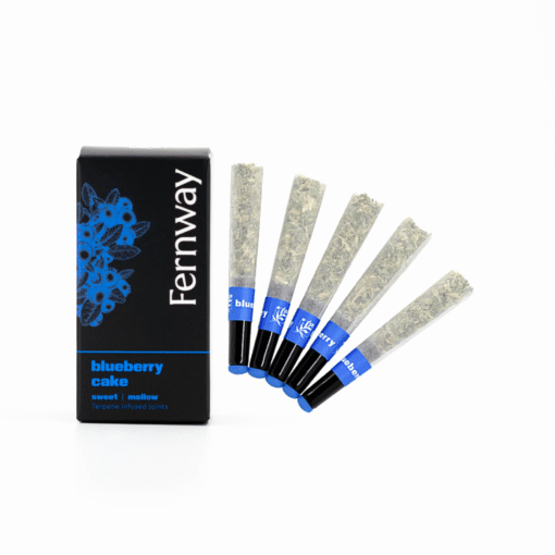 Fernway Blueberry Cake