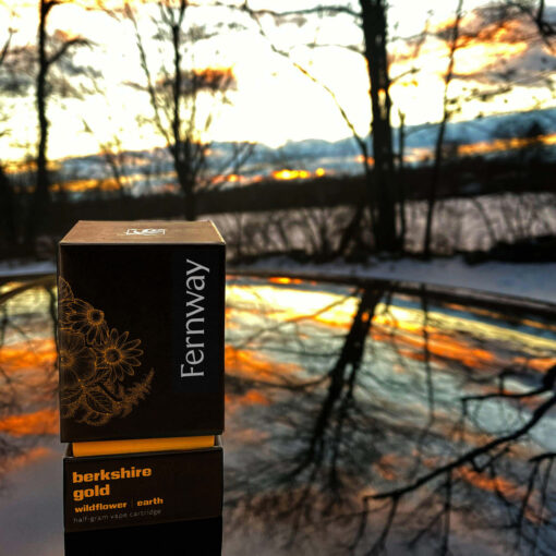 Berkshire Gold Vape Cartridge